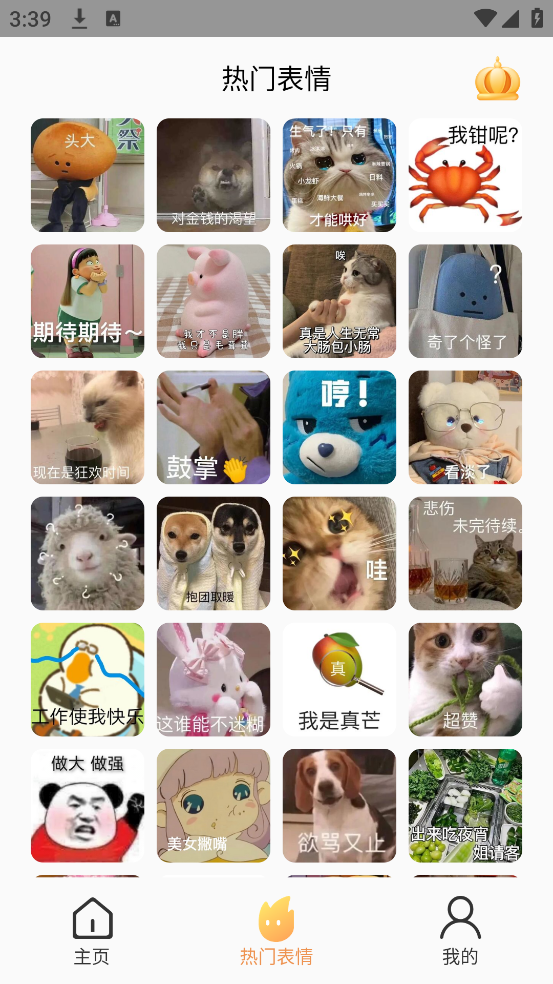 表情包斗图大师