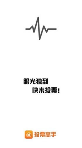 投票高手