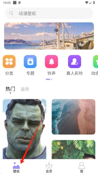 手机壁纸大师