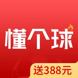 懂个球