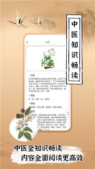 中医世家