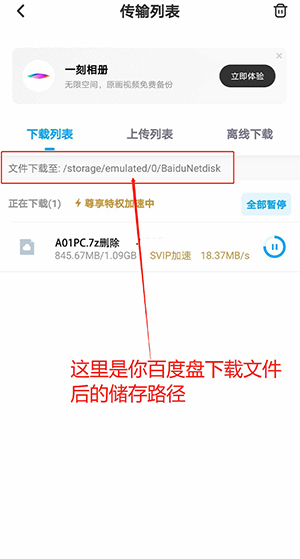 X游社