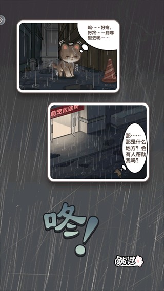 糖果猫