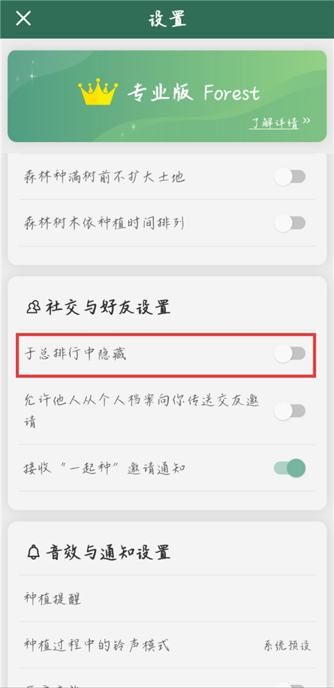 专注森林