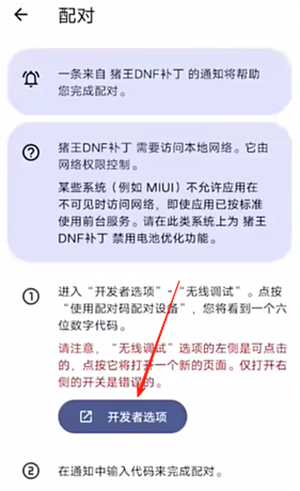 猪王DNF补丁特别版