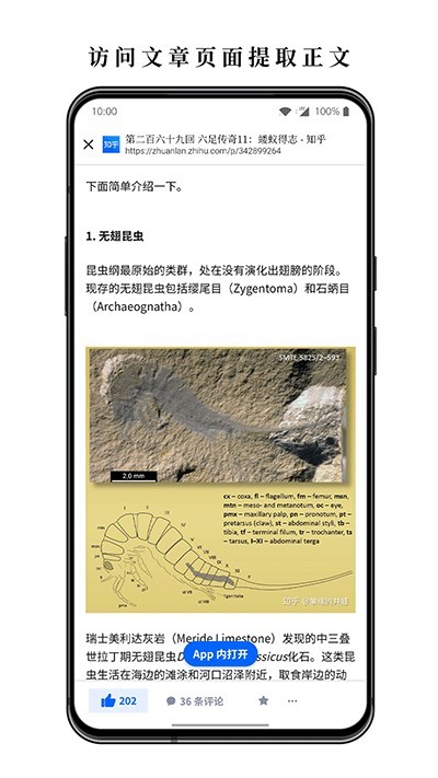 慢读小说阅读