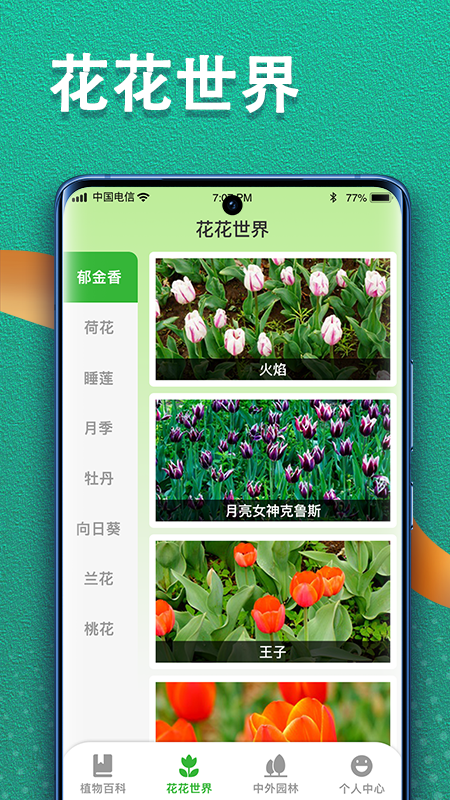 植物视界
