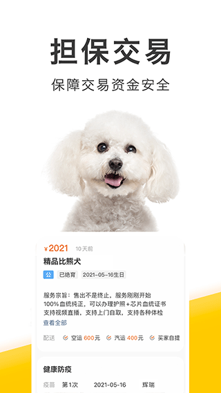 买只宠物平台