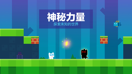幻影猫
