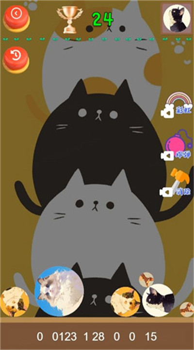 猫咪趣味合成