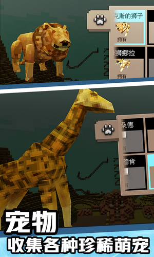 游乐园世界