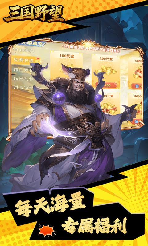 三国野望