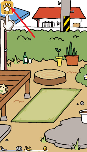 猫咪后院2国际服