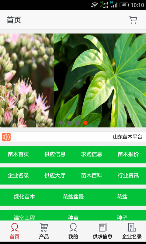 山东苗木平台