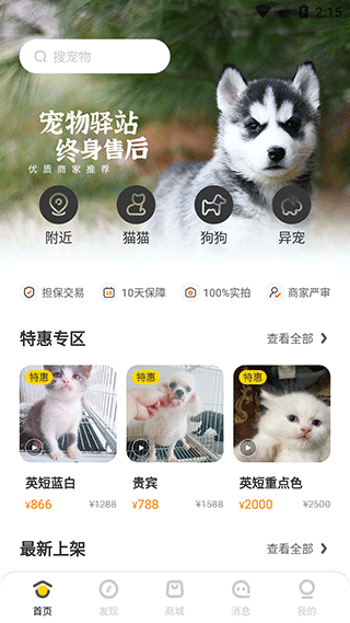 买只宠物平台
