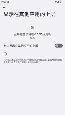蓝莓超自然辅助