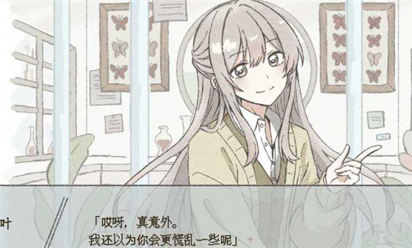 在标本箱中等待羽化