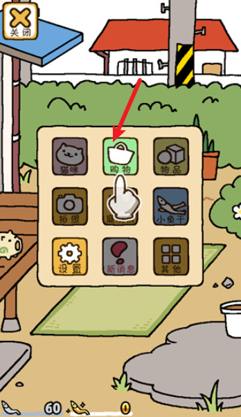猫咪后院2国际服