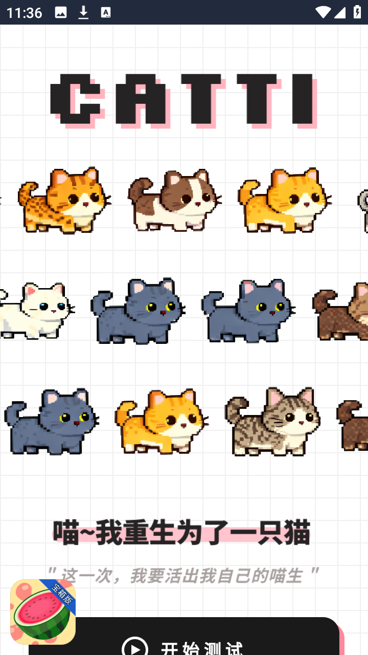 catti人格测试