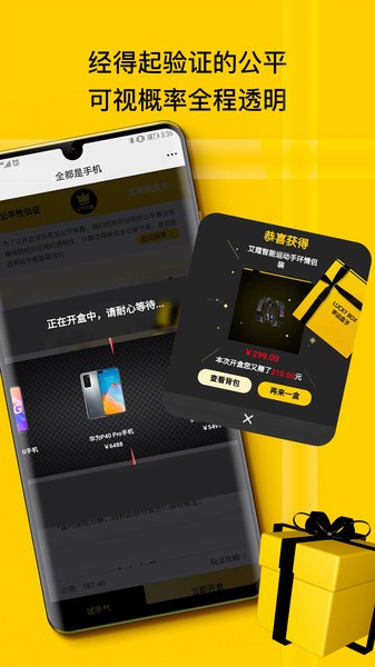 心愿先生盲盒
