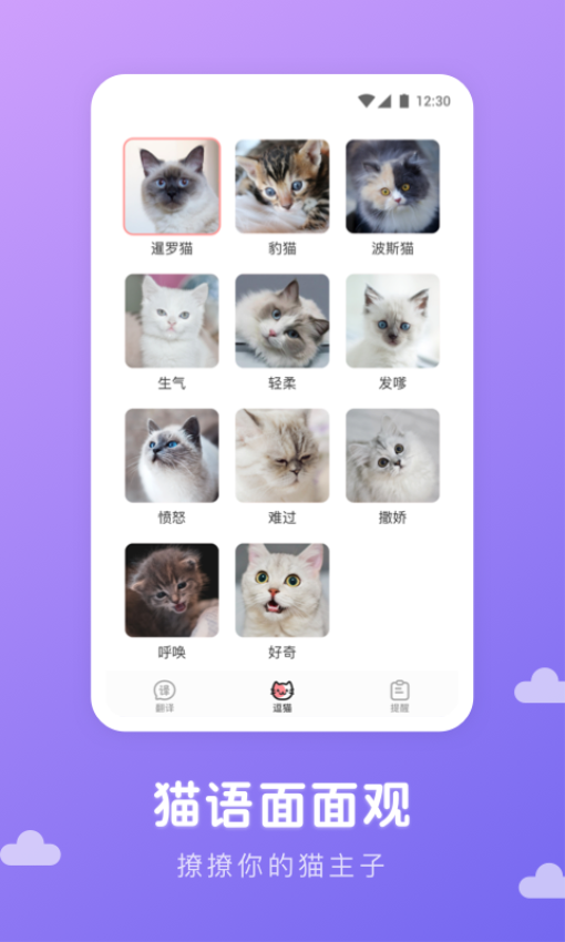 猫语翻译君