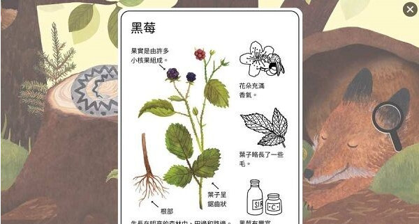 小棕鼠的自然生态百科