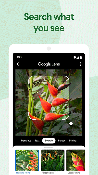 google相册
