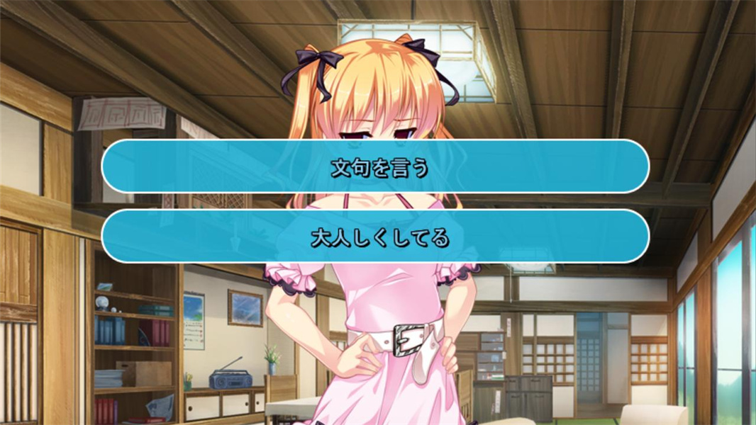 女装山脉手机汉化版
