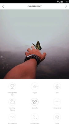 Vimage