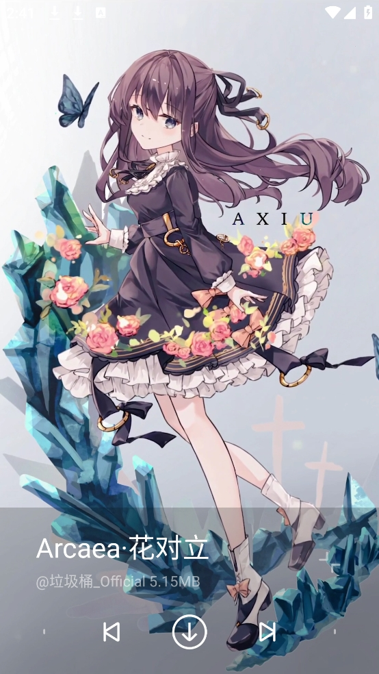 星空视频壁纸手机版