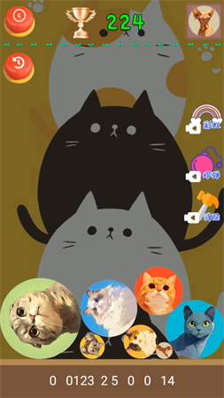 猫咪趣味合成