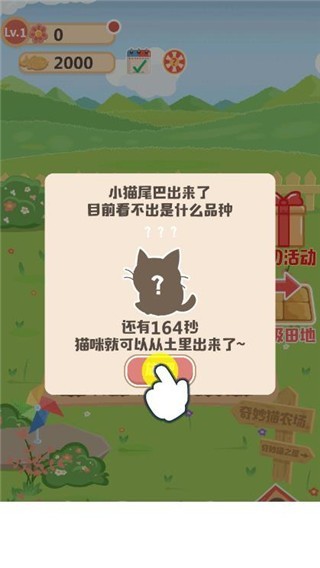 奇妙猫之家