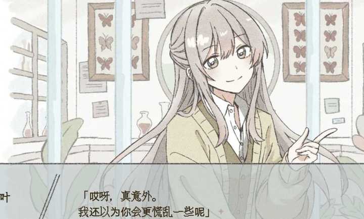在标本箱中等待羽化