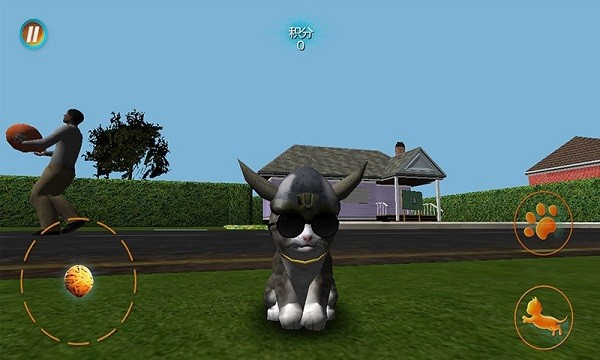 真实小猫3D