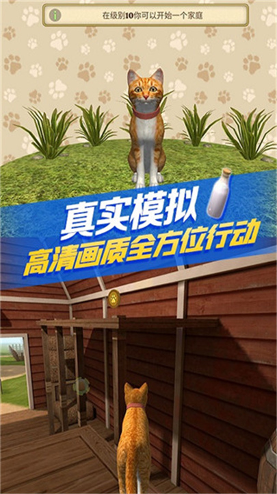 猫咪模拟器