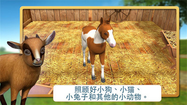 宠物世界3D我的动物救援