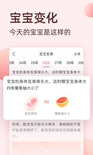 柚宝宝
