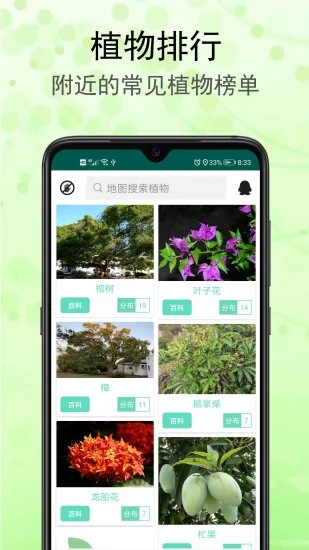 识花草软件