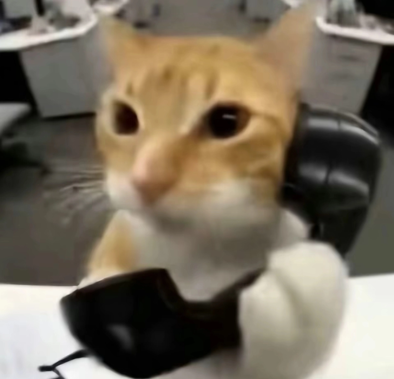 橘猫三角洲自动跑刀