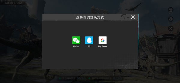 pubg国际版