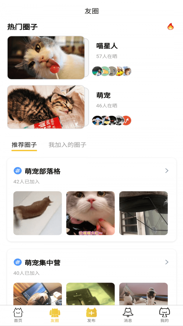 友猫