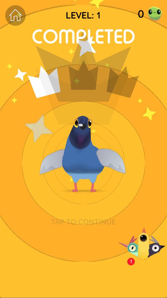 疯狂的鸽子pigeonpop