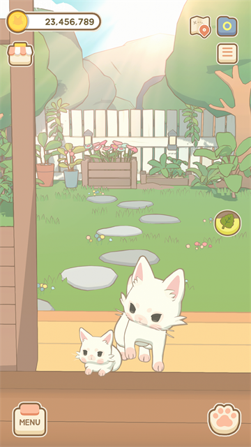 窗外的猫
