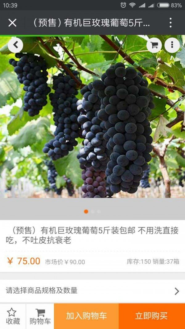城市蜜蜂