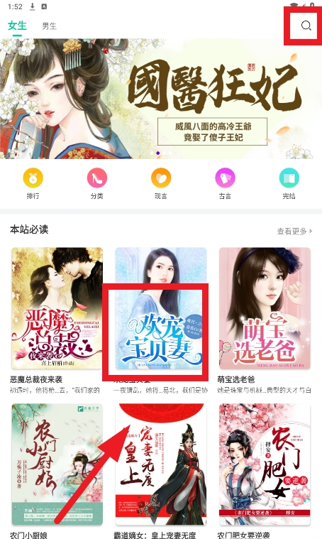 龙猫小说