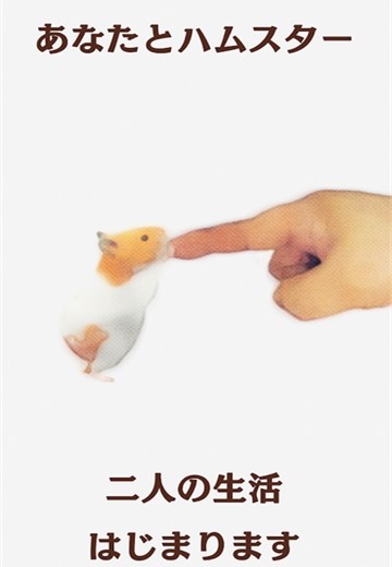 云仓鼠