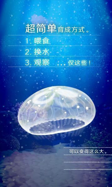 治愈的养成水母