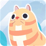 猫咪跑跑