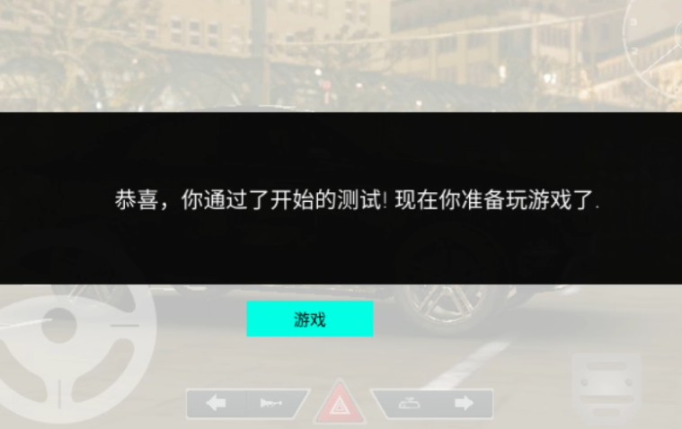 真实泊车2
