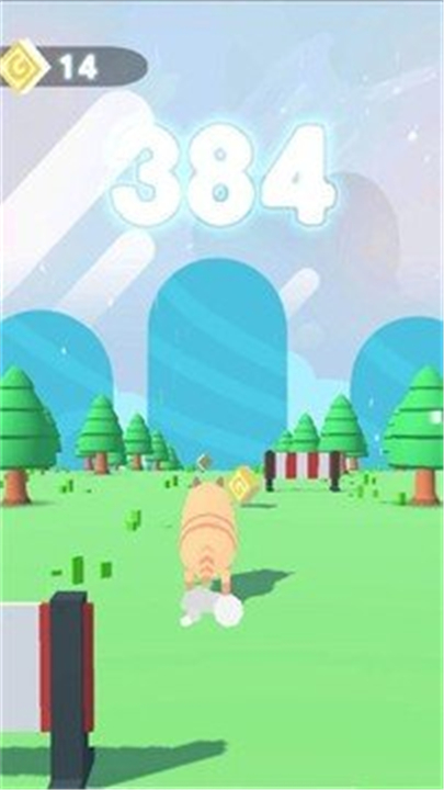 猫咪跑跑